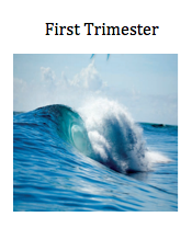 ocean image